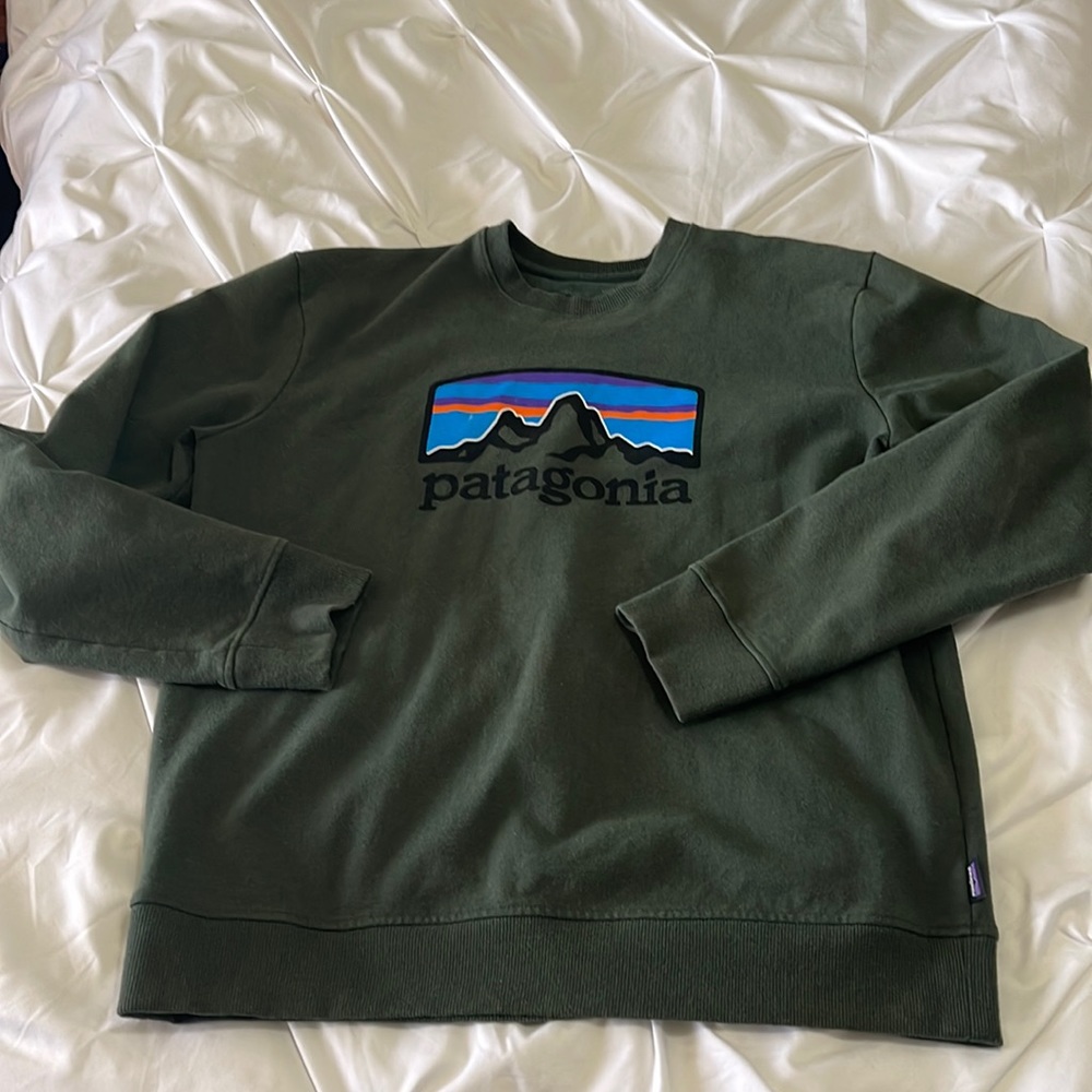 Patagonia sweatshirt
